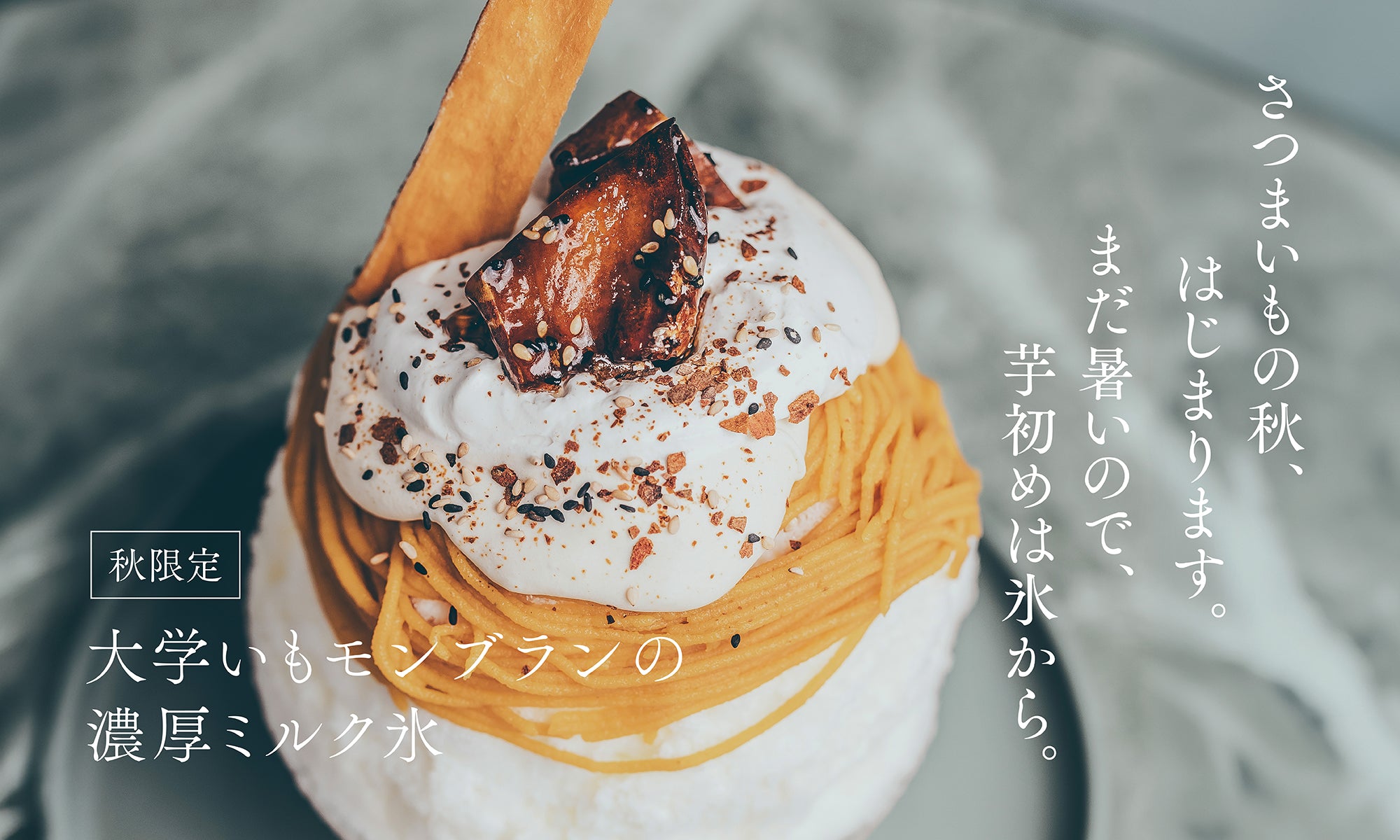 Slideshow Image 1